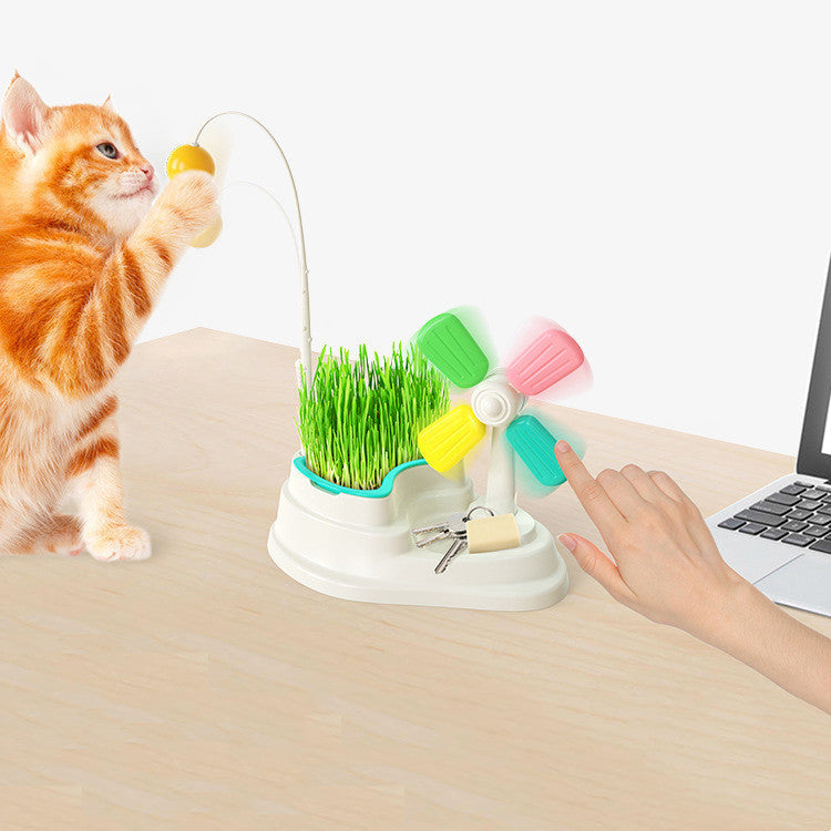 cat toy