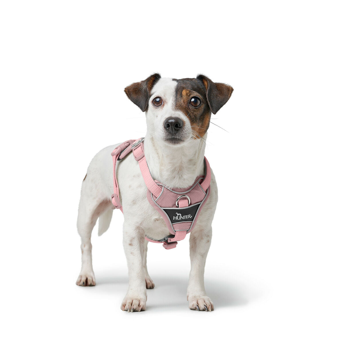 dog harness hunter divo up pink s/m-2