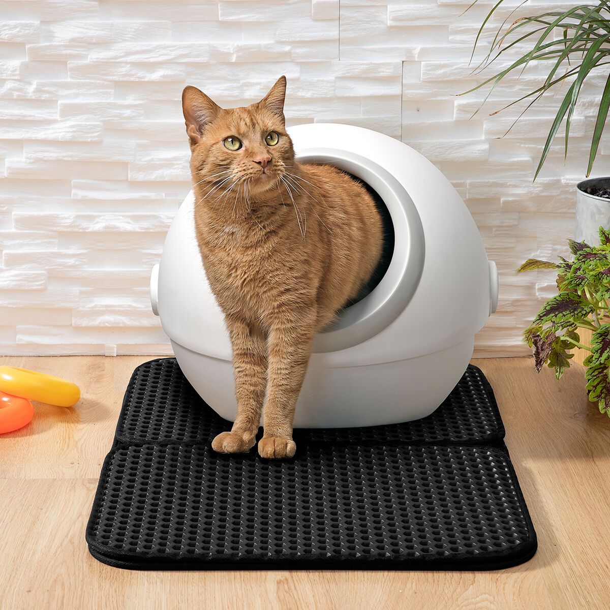 cat litter tray mat clikatt innovagoods-8